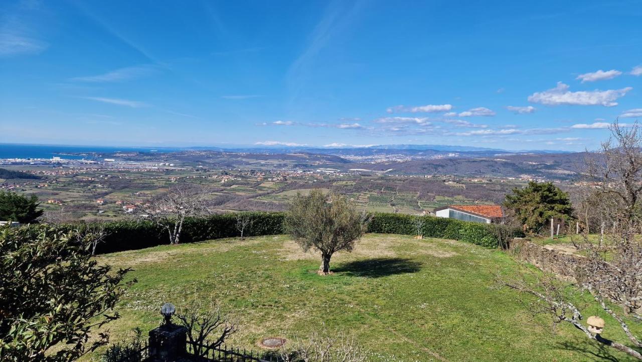 Apartma Panorama Marezige Exterior foto